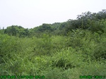 900R0015404_tag.jpg