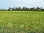 17552100_2813.JPG