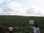 7910gt110a_scruland_shrubland.jpg