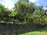 30300CIMG1835.JPG