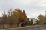 2022-11-02_16-30-53_D36B4B98-D59C-44DA-BD38-ACA2BA9136D9.jpeg