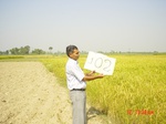 11296gt102-cropland-1.jpg