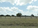 35742DSC02246.JPG