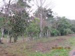 31908IMG_5329.JPG