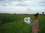 125930161b-rainfed-hilly-agriculture-millet-doublecrop.gif