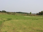 51731CIMG0745.JPG