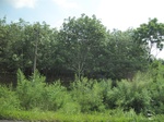 33676IMG_5882.JPG