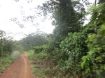 48144CIMG4481.JPG