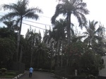 16471IMG_5256.JPG