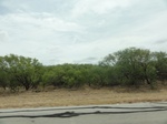 36055DSC02775.JPG
