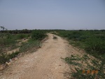 52231Tank ID 1800265 Venkatapura.JPG