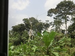 49800CIMG6137.JPG
