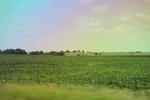2024-06-17_21-53-14_E30B0E64-60C8-466F-8939-418B8E66B286.jpeg