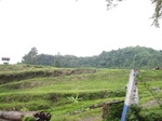 13835IMG_4101.JPG