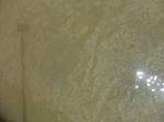 58292CIMG2739.JPG