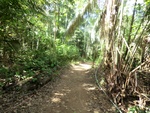 2012-08-31_10-24-34_CIMG0130.JPG