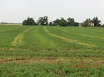 29622CIMG0891.JPG
