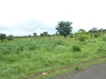 20985P1020854.JPG