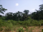 8954RIMG0028.JPG