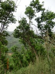 53605CIMG6970.JPG