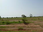 18943P1000787.JPG