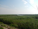 54324DSCN1598.JPG