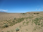 36930CIMG0719.JPG