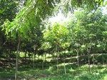 13979IMG_4281.JPG