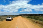 28678P1010695-1.JPG