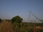 9015RIMG0092.JPG