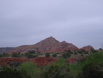 16692RIMG0257.JPG