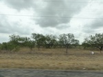 35358DSC02870.JPG