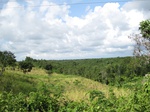 15973IMG_4526.JPG
