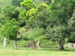 32110IMG_5573.JPG
