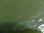 58210CIMG2657.JPG