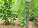 18820P1000659.JPG
