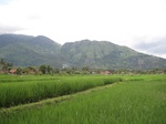 14767IMG_5159.JPG