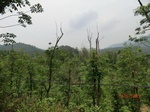 53666CIMG7044.JPG