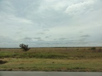 36045DSC02765.JPG