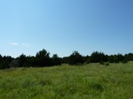 21645P1010471.JPG