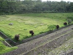 14633IMG_5012.JPG