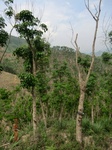 53752CIMG7152.JPG
