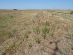 39282PUTN20110726W.JPG