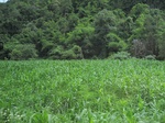 33516IMG_5764.JPG