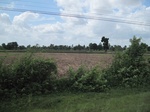 33257IMG_5587.JPG