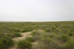 25986NORTH-IMG_1441.JPG