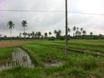 30973CIMG0834.JPG
