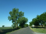 28896P1050975.JPG