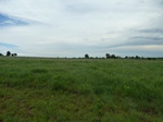 21536P1010360.JPG