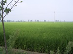 507R0015053.jpg